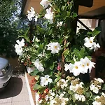 Hotel Al Pescatore