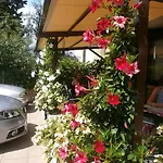 Al Pescatore Otel *