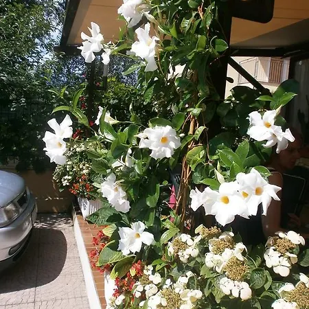 Hotel Al Pescatore